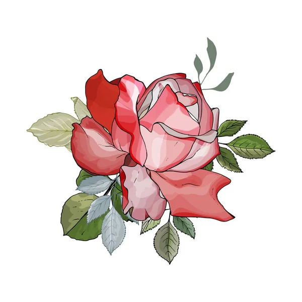 Fleur Rose Dessinée Main Avec Des Feuilles Isolées Sur Fond — Image vectorielle