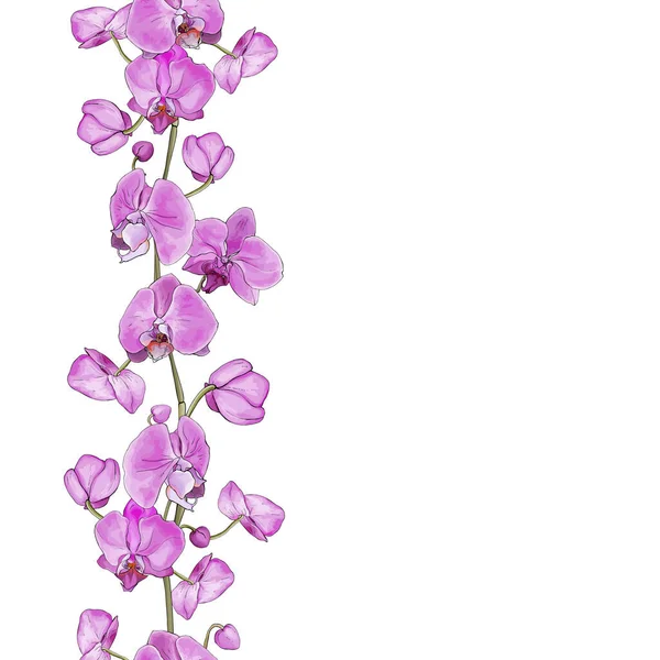 Blommig Ram Gräns Med Orkidéer Blommor För Festlig Kort Design — Stock vektor