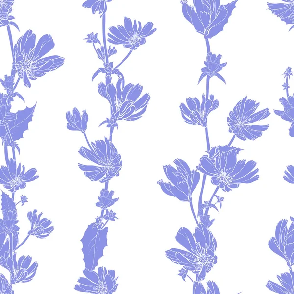 Vektornahtloses Muster Mit Zichorienblüten Und Blättern Blumenmuster Für Textilien — Stockvektor