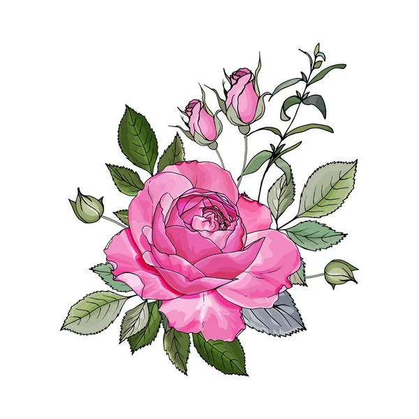 Set Fiori Rosa Disegnati Mano Con Foglie Isolate Sfondo Bianco — Vettoriale Stock