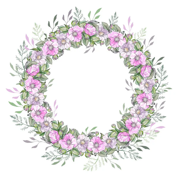 Hermoso Marco Floral Con Flores Aisladas Sobre Fondo Blanco Vector — Archivo Imágenes Vectoriales