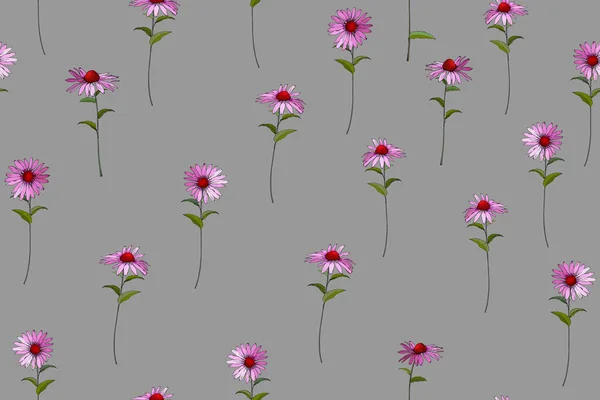 Vector Seamless Pattern Echinacea Flowers Leaves Floral Pattern Textile — 图库矢量图片