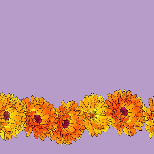 Frontera Marco Floral Con Caléndulas Flores Para Diseño Festivo — Vector de stock