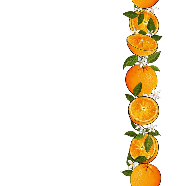オレンジとベクトルフレームの境界線 織物のための花模様 — ストックベクタ