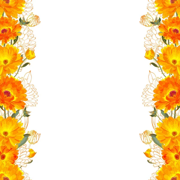 Beyaz arkaplan, vektör, illüstrasyon üzerinde izole edilmiş takvim çiçekleri ile güzel çiçek çelengi