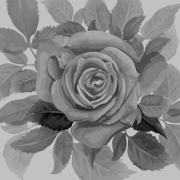 Monochromatyczny Ręcznie Rysowany Kwiat Róży Izolowany Białym Tle Wektor Ilustracja — Wektor stockowy