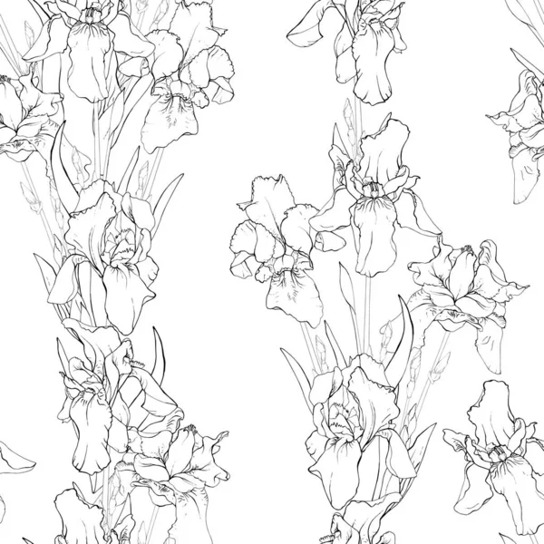 Motif Vectoriel Sans Couture Avec Iris Fleurs Feuilles Motif Floral — Image vectorielle