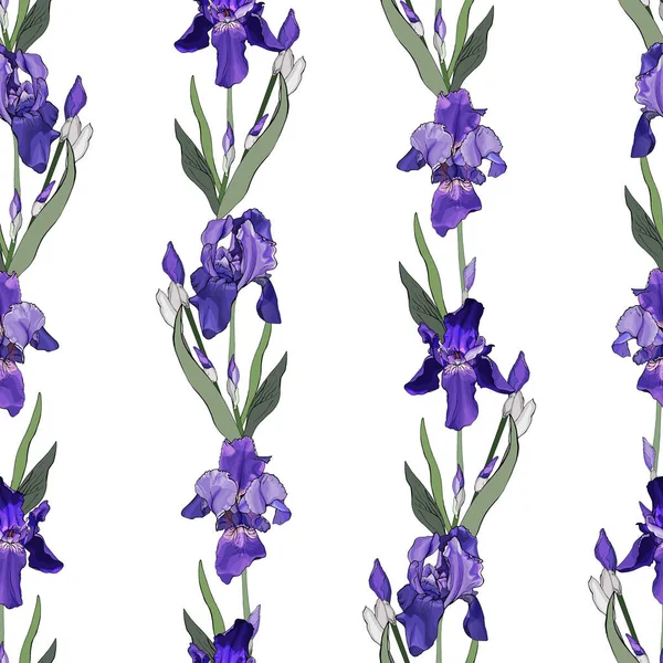 Pola Vektor Mulus Dengan Bunga Iris Dan Daun Pola Bunga - Stok Vektor