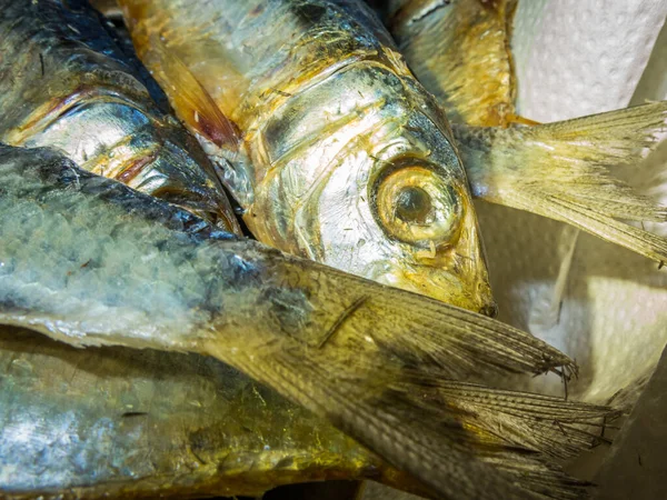 Pega fresca de peixe. Peixe numa tigela. Imagem de close-up — Fotografia de Stock