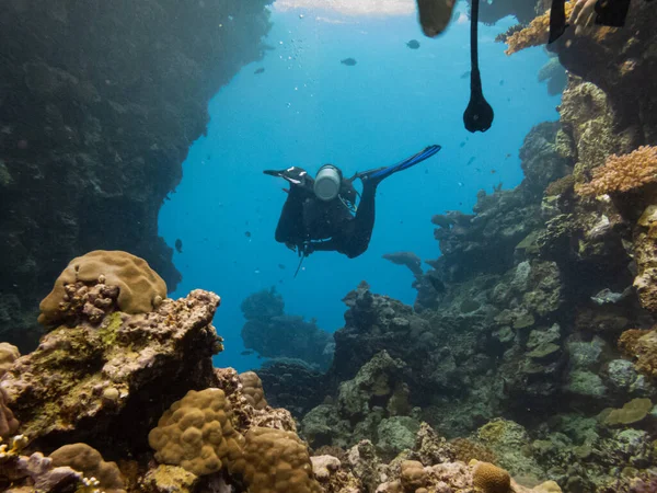 Mısır 'da Hurghada yakınlarındaki bir tropikal Kızıldeniz mercan resifinde tüplü dalgıç. Mavi su, sualtı kayalıkları