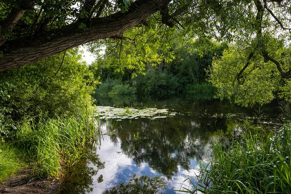Όμορφο ποτάμι επιπλέει μέσα σε μια καταπράσινη περιοχή. Σκέψεις από δέντρα — Φωτογραφία Αρχείου