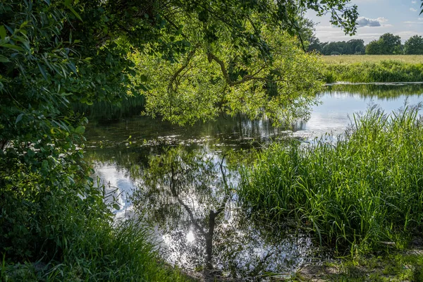 Schöner Fluss, der durch eine üppige, grüne Gegend fließt. Reflexionen von Bäumen — Stockfoto