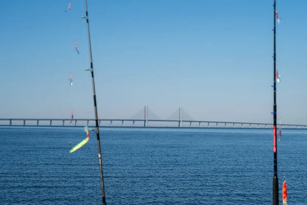 Angelruten mit der Öresundbrücke, die Dänemark mit Schweden verbindet, im Hintergrund — Stockfoto