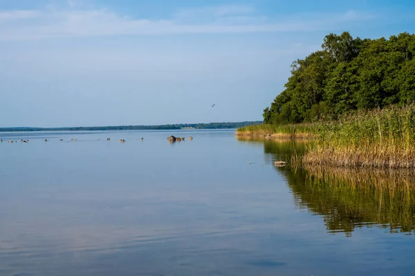 Beautiful scenery at a lake one of the latest days of summer. Picture from Ringsjon, Scania, southern Sweden — Stock Photo, Image