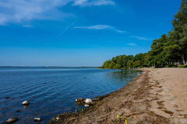 A sandy beach at a beautiful lake. Blue sky and water in the background. Picture from Ringsjon, Scania county, Sweden — Stock Photo, Image