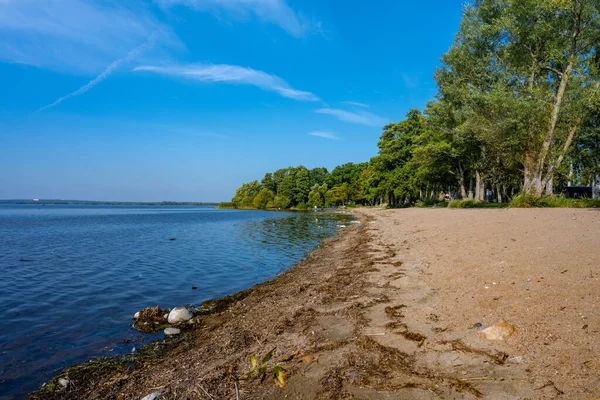 A sandy beach at a beautiful lake. Blue sky and water in the background. Picture from Ringsjon, Scania county, Sweden — Stock Photo, Image
