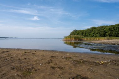 Yazın son günlerinden birinde bir gölde güzel bir manzara. Fotoğraf: Ringsjon, Scania, Güney İsveç