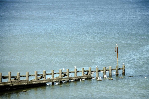 Breakwater Aberdeen Scotland — Stock Photo, Image