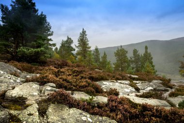 Royal Deeside 'daki Craijandarroch Tepesi. Ballater, Aberdeenshire, İskoçya, İngiltere. Cairngorms Ulusal Parkı.