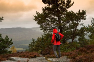 Craijandarroch Tepesi 'nin tepesinde bir yürüyüşçü. Royal Deeside 'da Ballater, Aberdeenshire, İskoçya, İngiltere. cairngorms Ulusal Parkı.