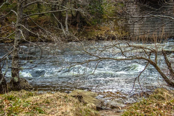 Dee River Royal Deeside Ballater Aberdeenshire Skottland Storbritannien — Stockfoto