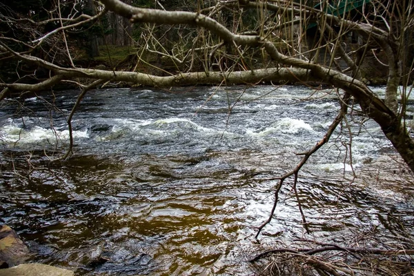 Dee River Royal Deeside Ballater Aberdeenshire Scotland — Stock Photo, Image