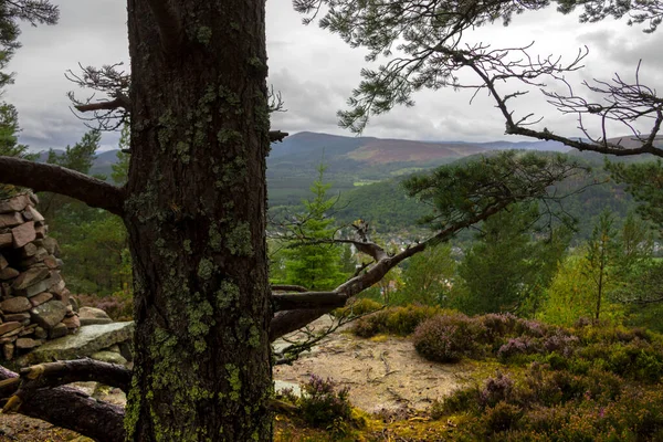 Schottland Szenische Aussicht Von Der Spitze Des Hügels Bei Ballater — Stockfoto