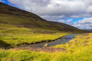 Cairngorms Ulusal Parkı 'nda yürüyüş parkurunda. Kraliyet Deeside 'da Braemar, Aberdeenshire, İskoçya, İngiltere. 