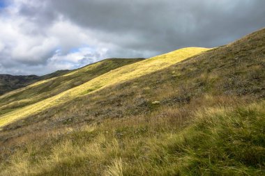 Cairngorms Ulusal Parkı 'nda yürüyüş parkurunda. Kraliyet Deeside 'da Braemar, Aberdeenshire, İskoçya, İngiltere. 
