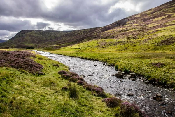 Vandringsled Kairngorms Nationalpark Braemar Royal Deeside Aberdeenshire Skottland Storbritannien — Stockfoto