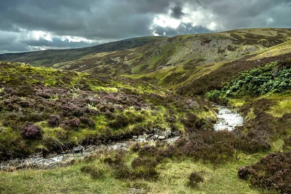 Wandelpad Cairngorms National Park Braemar Royal Deeside Aberdeenshire Schotland Verenigd — Stockfoto