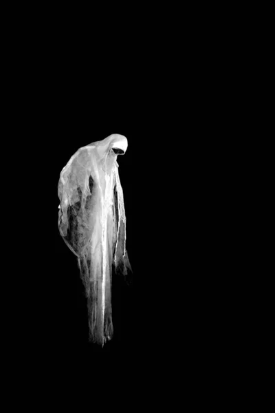 黒を背景にした怖い幽霊 — ストック写真