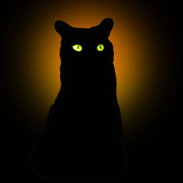 Black cat in the dark.