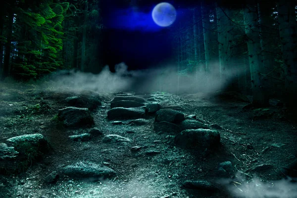 Geceleyin Ürkünç Orman Cadılar Bayramı Geçmişi — Stok fotoğraf
