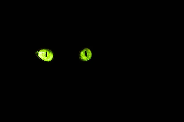 黒の背景に隔離された猫の目 — ストック写真