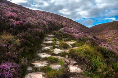 Cairngorms Ulusal Parkı 'nda yürüyüş parkurunda. Glen Dye, Aberdeenshire, İskoçya, İngiltere. 