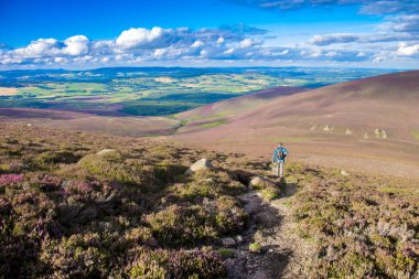 Cairngorms Ulusal Parkı 'nda yürüyüş parkurunda. Glen Dye, Aberdeenshire, İskoçya, İngiltere. 