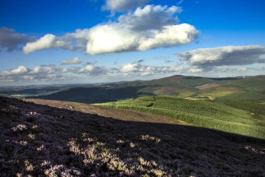 Cairngorms Ulusal Parkı 'nda yürüyüş parkurunda. Glen Dye, Aberdeenshire, İskoçya, İngiltere. 