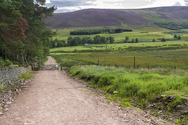 Hiking Trail Cairngorms National Park Glen Dye Aberdeenshire Scotland — Stock Photo, Image