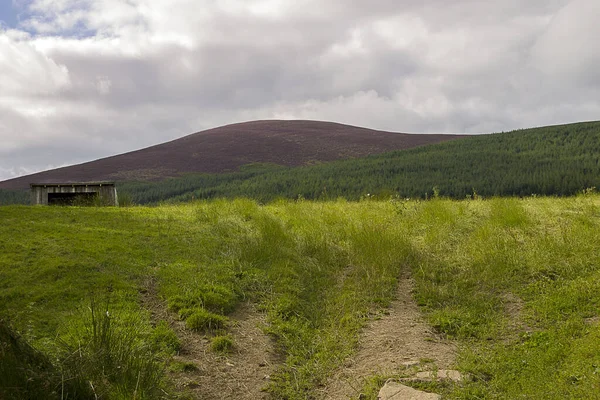 Sentier Randonnée Dans Parc National Cairngorms Glen Dye Aberdeenshire Écosse — Photo