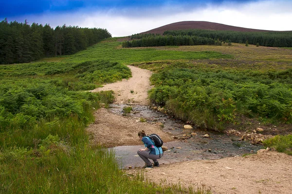 Trilha Caminhada Parque Nacional Cairngorms Glen Dye Aberdeenshire Escócia Reino — Fotografia de Stock