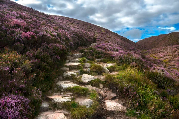 在凯恩斯国家公园的远足小径 Glen Dye Aberdeenshire Scotland — 图库照片