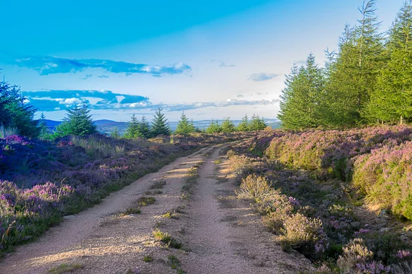 在凯恩斯国家公园的远足小径 Glen Dye Aberdeenshire Scotland — 图库照片