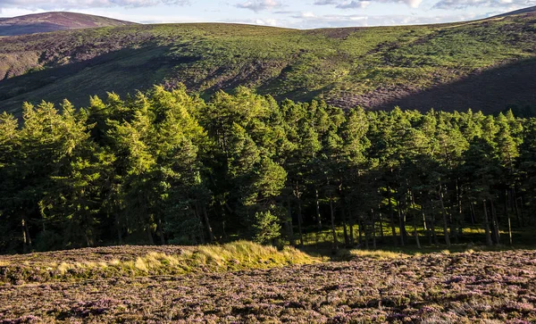Μονοπάτι Πεζοπορίας Στο Εθνικό Πάρκο Cairngorms Glen Dye Aberdeenshire Σκωτία — Φωτογραφία Αρχείου