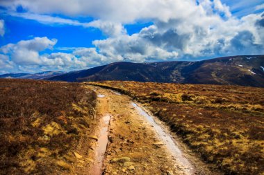 Glen Mark, Angus, İskoçya, İngiltere 'de. Cairngorms Ulusal Parkı.