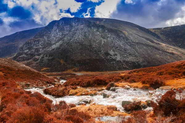 Glen Mark Angus Szkocja Wielka Brytania Park Narodowy Cairngorms — Zdjęcie stockowe