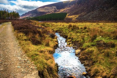 Cairngorms Ulusal Parkı. Glen Mark, Angus, İskoçya, Birleşik Krallık. 