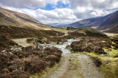 Cairngorms Ulusal Parkı. Glen Mark, Angus, İskoçya, Birleşik Krallık. 