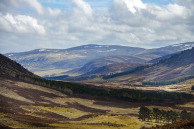 Cairngorms Ulusal Parkı. Glen Mark, Angus, İskoçya, Birleşik Krallık. 