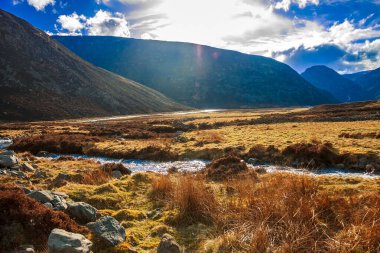 Cairngorms Ulusal Parkı 'nda sonbahar. Glen Mark, Angus, İskoçya, İngiltere